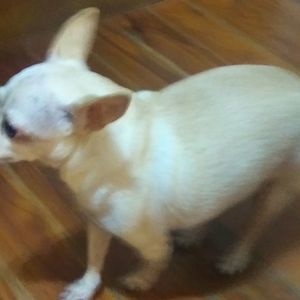 Meet your Posher, Cassandra